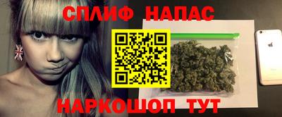 бошки Будённовск