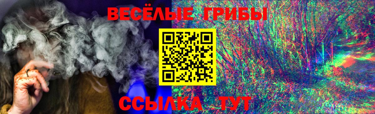 Псилоцибиновые грибы прущие грибы Пугачёв
