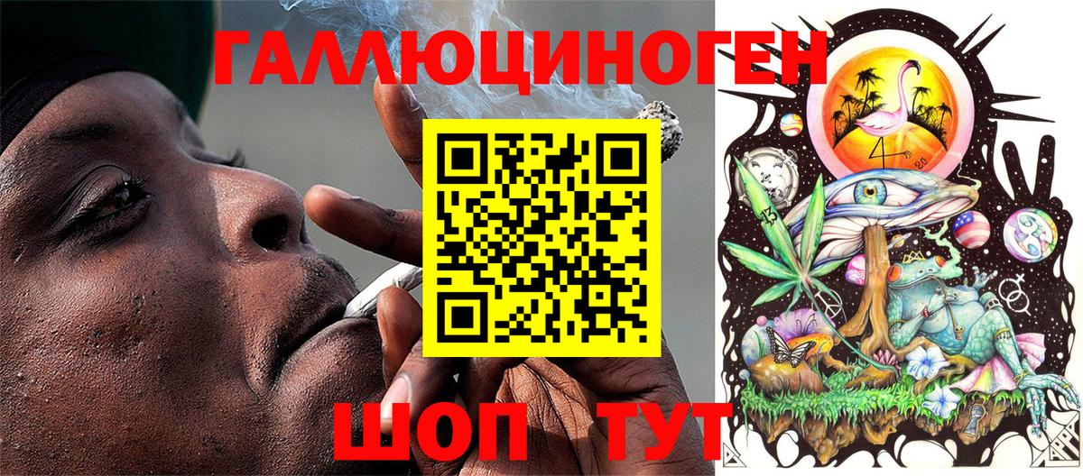 Пугачёв  Галлюциногенные грибы Cubensis  Вход с VPN 